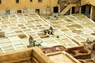 Fes medina guide Morocco - A view of traditional leather tanneries