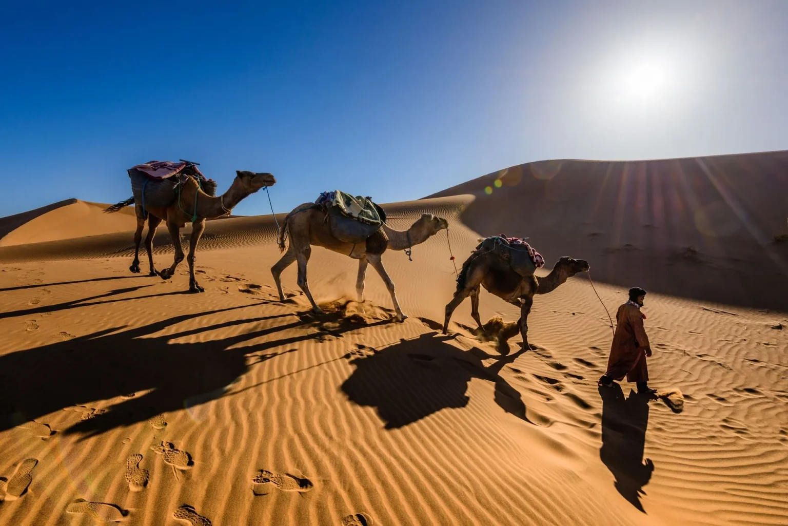 Review: A Night at a Luxury Sahara Desert Camp in Morocco Sahara desert camp Morocco review - Camels and a person traverse sand